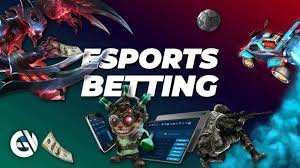 333bet16