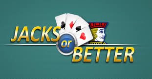 333bet16